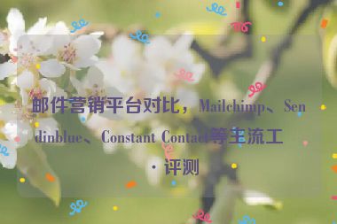 郵件營銷平臺對比，Mailchimp、Sendinblue、Constant Contact等主流工具評測