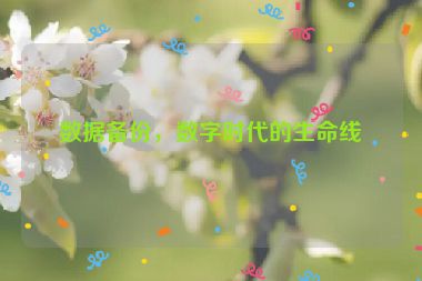數(shù)據(jù)備份，數(shù)字時(shí)代的生命線