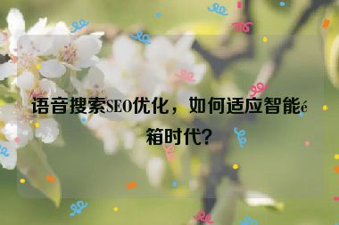 語音搜索SEO優(yōu)化，如何適應(yīng)智能音箱時(shí)代？