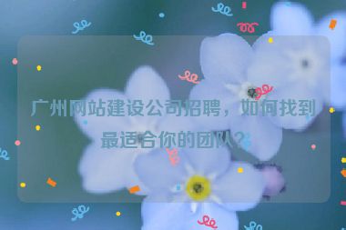 廣州網(wǎng)站建設(shè)公司招聘，如何找到最適合你的團(tuán)隊(duì)？
