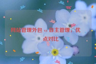網(wǎng)站管理外包 vs 自主管理，優(yōu)缺點(diǎn)對(duì)比