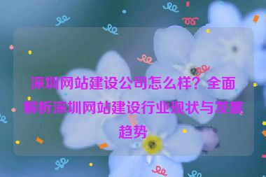 深圳網(wǎng)站建設(shè)公司怎么樣？全面解析深圳網(wǎng)站建設(shè)行業(yè)現(xiàn)狀與發(fā)展趨勢