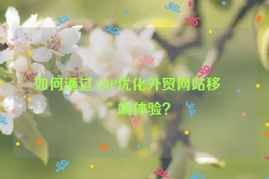 如何通過AMP優(yōu)化外貿(mào)網(wǎng)站移動(dòng)端體驗(yàn)？