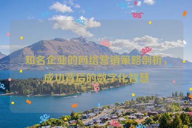 知名企業(yè)的網(wǎng)絡(luò)營銷策略剖析，成功背后的數(shù)字化智慧