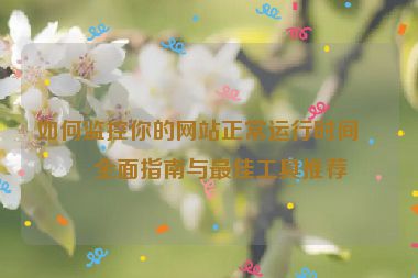 如何監(jiān)控你的網(wǎng)站正常運行時間？全面指南與最佳工具推薦