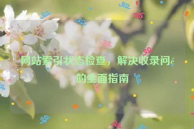 網(wǎng)站索引狀態(tài)檢查，解決收錄問(wèn)題的全面指南