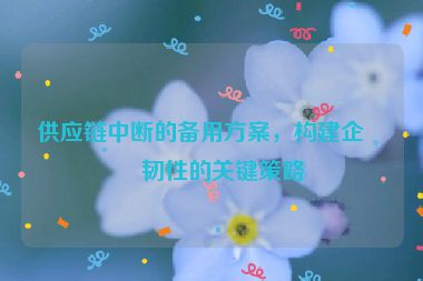 供應(yīng)鏈中斷的備用方案，構(gòu)建企業(yè)韌性的關(guān)鍵策略