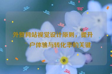 外貿(mào)網(wǎng)站視覺設(shè)計(jì)原則，提升用戶體驗(yàn)與轉(zhuǎn)化率的關(guān)鍵