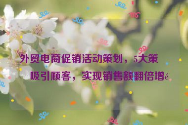 外貿(mào)電商促銷活動(dòng)策劃，5大策略吸引顧客，實(shí)現(xiàn)銷售額翻倍增長