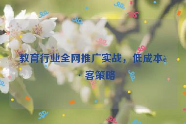教育行業(yè)全網(wǎng)推廣實戰(zhàn)，低成本獲客策略