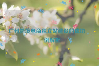 廣州跨境電商獨立站建設(shè)的成功案例解析