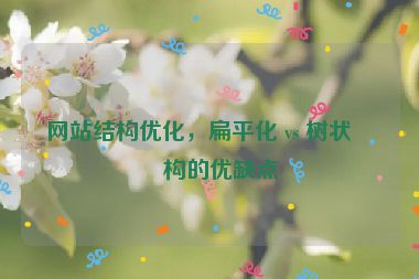 網(wǎng)站結(jié)構(gòu)優(yōu)化，扁平化 vs 樹狀結(jié)構(gòu)的優(yōu)缺點