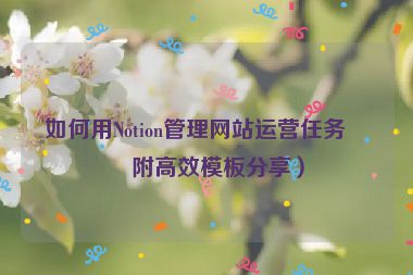 如何用Notion管理網(wǎng)站運(yùn)營任務(wù)？附高效模板分享）