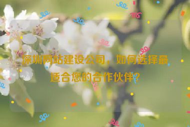 深圳網(wǎng)站建設(shè)公司，如何選擇最適合您的合作伙伴？