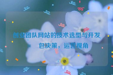 創(chuàng)業(yè)團隊網(wǎng)站的技術(shù)選型與開發(fā)外包決策，運營視角