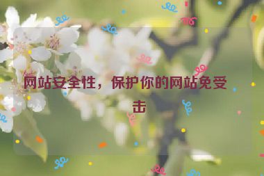 網(wǎng)站安全性，保護(hù)你的網(wǎng)站免受攻擊