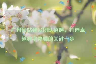 廣州網(wǎng)站建設(shè)團(tuán)隊(duì)招聘，打造卓越數(shù)字體驗(yàn)的關(guān)鍵一步