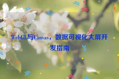 WebGL與Canvas，數(shù)據(jù)可視化大屏開(kāi)發(fā)指南