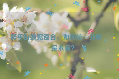 跨平臺數(shù)據(jù)整合，如何統(tǒng)一分析流量來源？