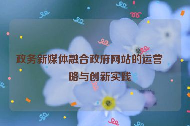 政務(wù)新媒體融合政府網(wǎng)站的運(yùn)營策略與創(chuàng)新實(shí)踐