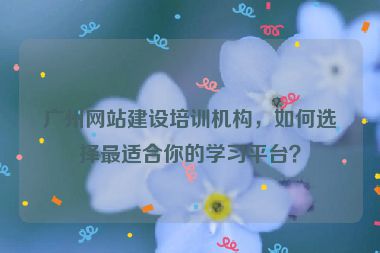 廣州網(wǎng)站建設(shè)培訓(xùn)機構(gòu)，如何選擇最適合你的學(xué)習(xí)平臺？