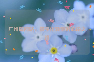廣州做網(wǎng)站，數(shù)字化轉(zhuǎn)型的必由之路