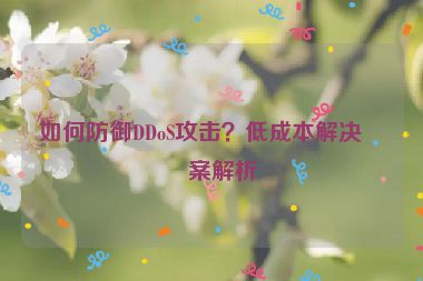 如何防御DDoS攻擊？低成本解決方案解析