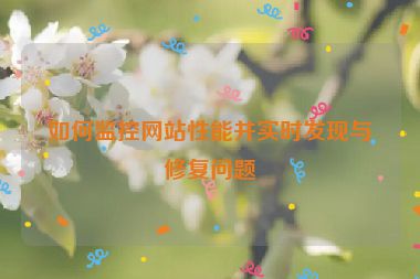 如何監(jiān)控網(wǎng)站性能并實(shí)時(shí)發(fā)現(xiàn)與修復(fù)問題