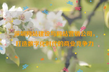 深圳網(wǎng)站建設(shè)與網(wǎng)站營銷公司，打造數(shù)字化時代的商業(yè)競爭力