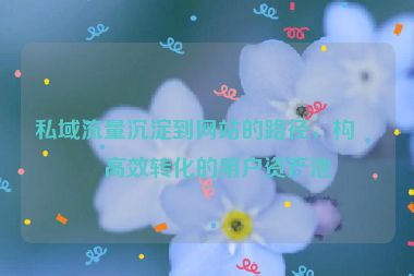 私域流量沉淀到網站的路徑，構建高效轉化的用戶資產池