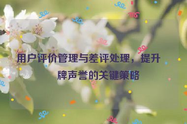 用戶評(píng)價(jià)管理與差評(píng)處理，提升品牌聲譽(yù)的關(guān)鍵策略