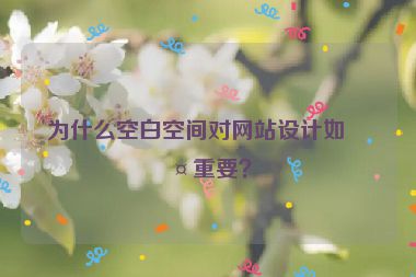 為什么空白空間對(duì)網(wǎng)站設(shè)計(jì)如此重要？