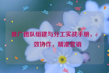 推廣團(tuán)隊組建與分工實戰(zhàn)手冊，高效協(xié)作，精準(zhǔn)營銷