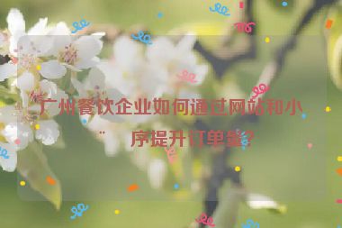 廣州餐飲企業(yè)如何通過網(wǎng)站和小程序提升訂單量？