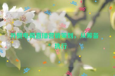 外貿電商直播營銷策劃，從籌備到執(zhí)行