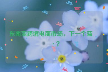 東南亞跨境電商市場，下一個(gè)藍(lán)海？