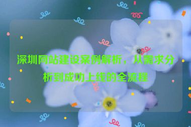 深圳網(wǎng)站建設(shè)案例解析，從需求分析到成功上線的全流程