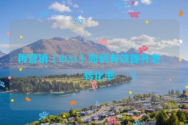 再營銷（RLSA）如何有效提升老客轉(zhuǎn)化率