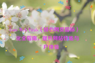 Core Web Vitals（核心網(wǎng)頁指標(biāo)）優(yōu)化全指南，提升網(wǎng)站性能與用戶體驗