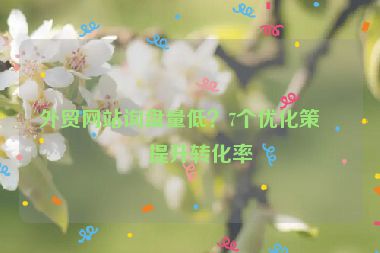 外貿(mào)網(wǎng)站詢盤量低？7個(gè)優(yōu)化策略提升轉(zhuǎn)化率