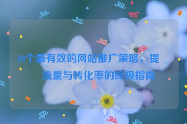 10個(gè)最有效的網(wǎng)站推廣策略，提升流量與轉(zhuǎn)化率的終極指南