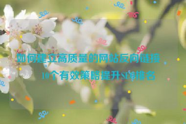 如何建立高質(zhì)量的網(wǎng)站反向鏈接？10個(gè)有效策略提升SEO排名