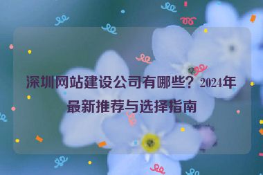深圳網(wǎng)站建設(shè)公司有哪些？2024年最新推薦與選擇指南