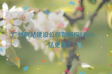 廣州網(wǎng)站建設(shè)公司如何應(yīng)對SEO算法更新？