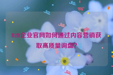 B2B企業(yè)官網(wǎng)如何通過內(nèi)容營銷獲取高質(zhì)量詢盤？