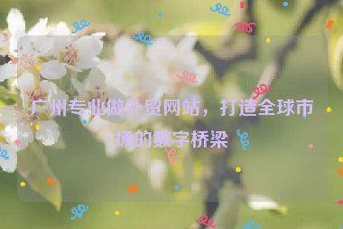 廣州專業(yè)做外貿(mào)網(wǎng)站，打造全球市場的數(shù)字橋梁
