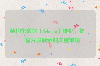 結構化數據（Schema）維護，提升富片段展示的關鍵策略