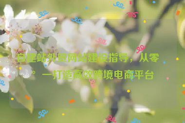 自建站外貿(mào)網(wǎng)站建設(shè)指導(dǎo)，從零到一打造高效跨境電商平臺(tái)