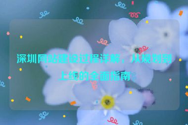 深圳網(wǎng)站建設(shè)過程詳解，從規(guī)劃到上線的全面指南