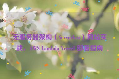 無服務(wù)器架構(gòu)（Serverless）網(wǎng)站實戰(zhàn)，AWS Lambda Vercel 部署指南